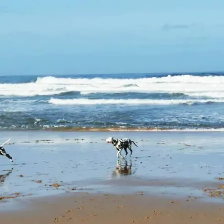 Sea View Magoito ヴィラ *